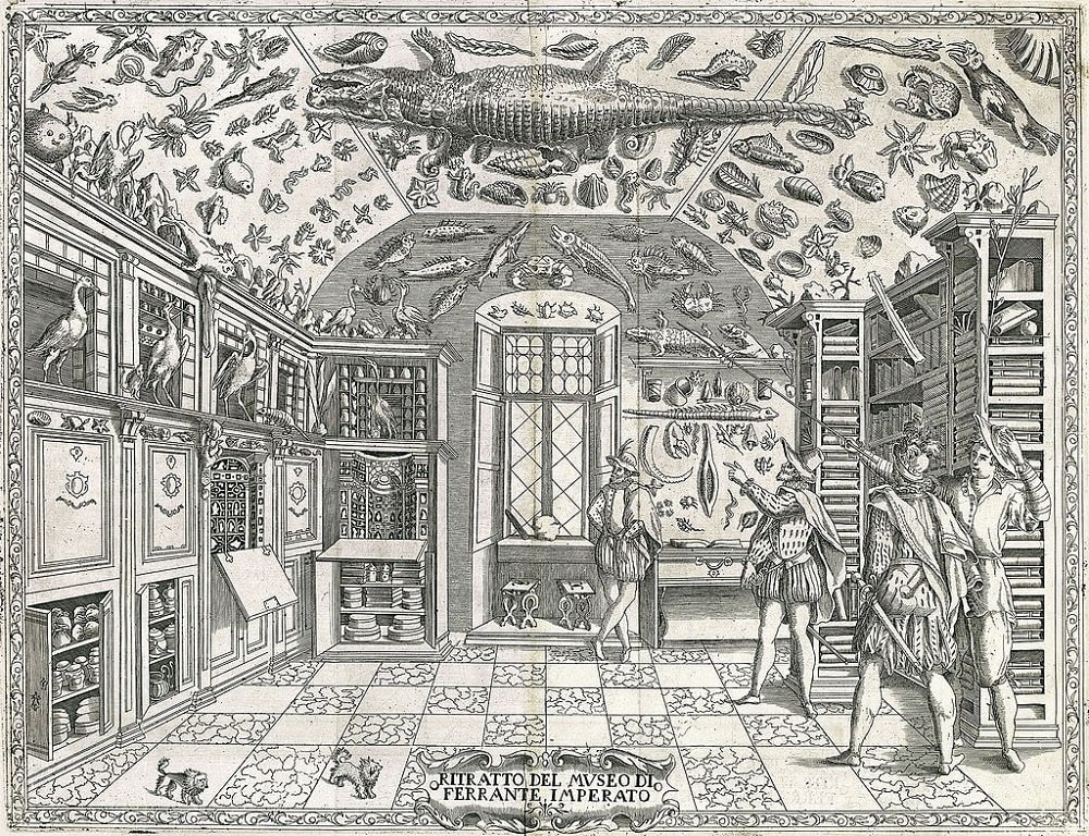 La Wunderkammer